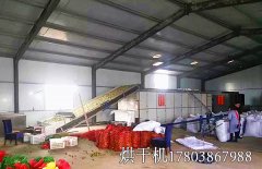辣椒網(wǎng)帶熱泵烘干機